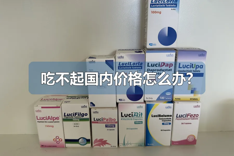 吃不起国内价格怎么办?